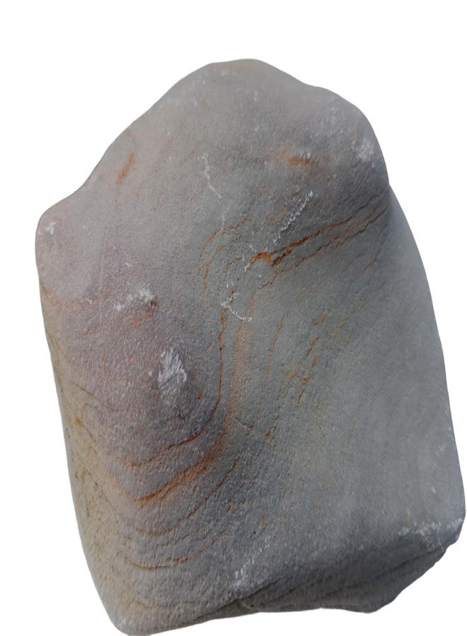 RUKDA Ancient Layered Petrified Wood Stone, Natural Fossil Rock, Aquarium Decor, Terrarium Decor, Garden Decor (1, Kilograms) - Image 3